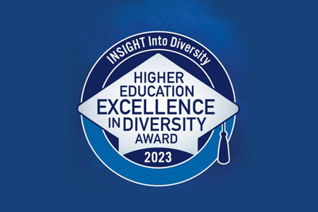 Higher Education Diversity Award