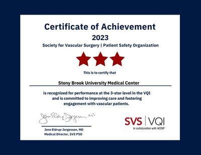 SVS VQI Award