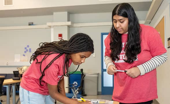 Women in STEM.
